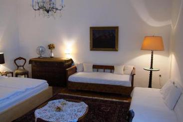 公寓 Altwien Apartement