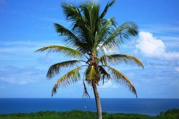 هتل Domaine De L Anse Ramier