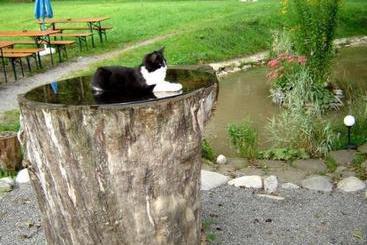 Отель Ferienhof Auf Der Heidegg