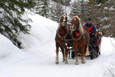 膳宿费 Gasthof Zimba