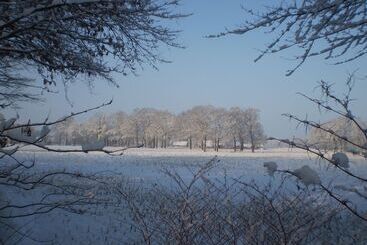 酒店 & Restaurant 't Holt