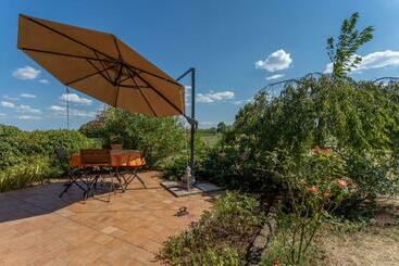 游客公寓 Da Dede Cozy Apt With Terrace And Private Parking!