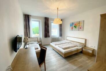 관광객 아파트 Josef Wolfik Strasse 10 Apartment