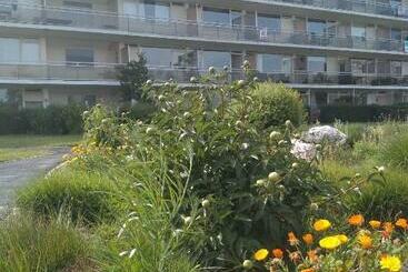 Жильё для туристов Joy Lotus 105