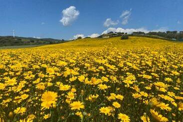 דירות לתיירים San Leonardo Country House