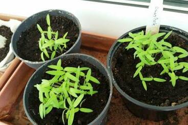 شقق خاصة سياحية 80m² Complete Apartment For Vacation Or Work