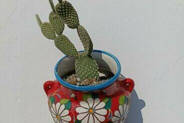 דירות לתיירים Fichi D India