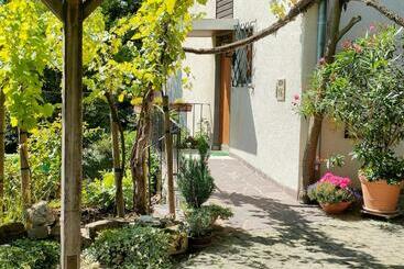 관광객 아파트 Ferienwohnung Gutermuth Obereisenheim