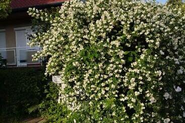 관광객 아파트 Trivulzio Vendégház Lazíts Egy Tündéri Városban