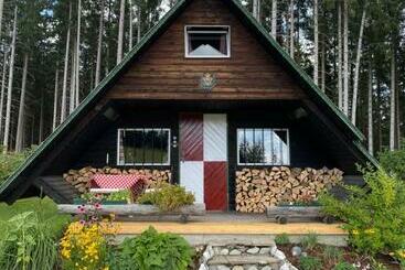 ツーリストアパートメント Berghütte Waldheimat