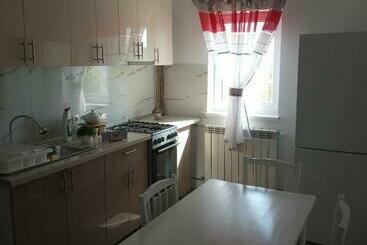 游客公寓 Apartament Alyn