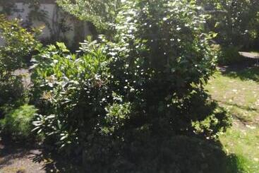 Bed and Breakfast La Ruelle : Chambres D Hôtes