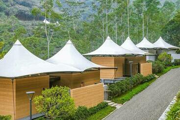 Отель 真意帐篷房车营地