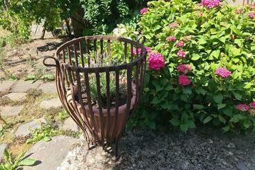 游客公寓 Historisches Backhaus