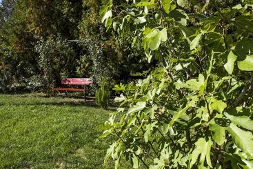 관광객 아파트 Feng Shui Wellness Apartmanház Hévíz