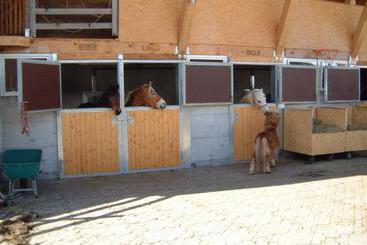 Отель Haus Alpenrose