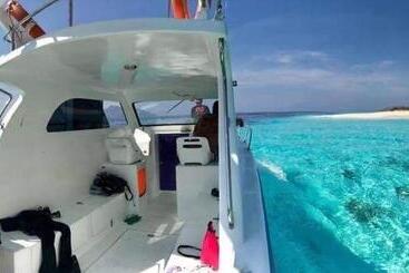 هتل Eco Dive Resort Alycastre