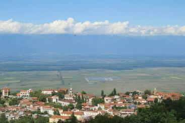 ペンション Family Hotel In Nukriani , 2km From Sighnaghi