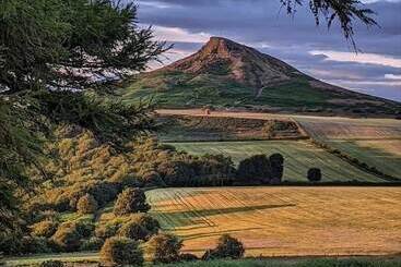 דירות לתיירים The Rosebud
