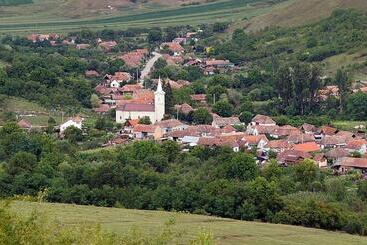 פנסיון Casa Randunica