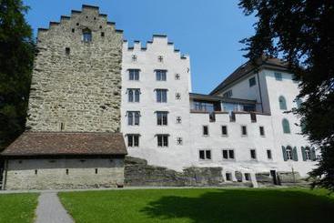 فندق Schloss Wartensee