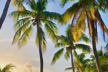 酒店 Vc Beach Suites