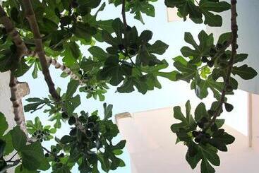 פנסיון Vecchia Cantina   Le Camere