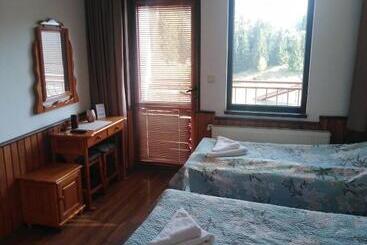 Пансион вила родопи