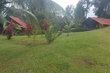 فندق صغير Cabañitas Rio Celeste