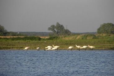 호텔 De Brabantse Biesbosch