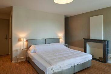 Отель Hine Adon Fribourg