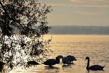 فندق Pałac Zegrzyński