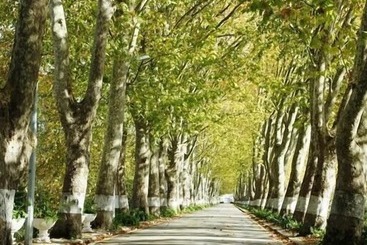 호텔 Pensao Lourenco