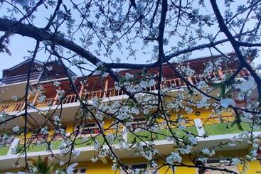 هاستل The Homstel Manali