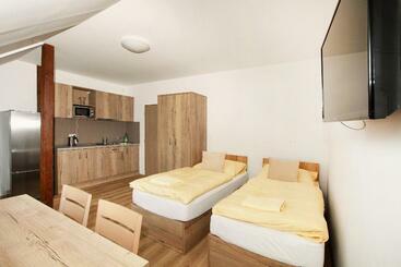 膳宿费 Penziony Hnanice