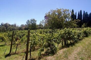 호텔 La Spiga D Oro