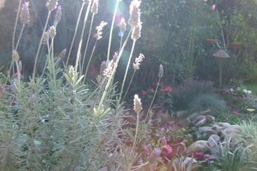 酒店 Hosteria Pascana