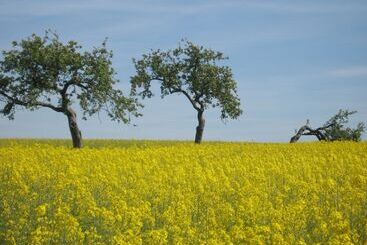 ペンション Landgasthof Gemmer