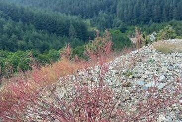 آپارتمانهای توریستها Dedina Kuća