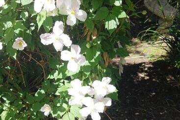 Жильё для туристов Le Presbytère, Cotentin, Val De Saire, Fermanville, Proximité Immédiate Mer Et Forêt