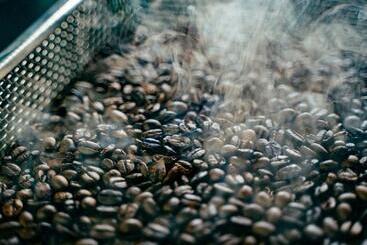 ריוקאן 津川温泉 清川高原保養センター