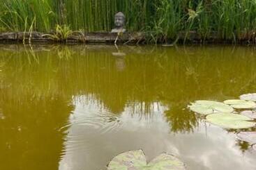 Bed and Breakfast Chambres D Hôtes Kayros