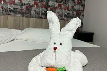 פנסיון Klara House