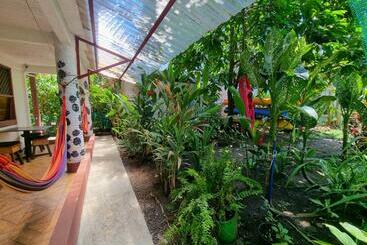 بنسيون Wildlife Tortuguero