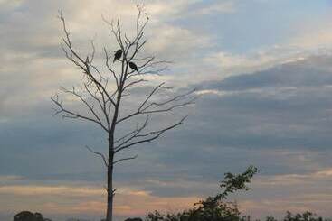 פנסיון Ranith Villa In Tangalle, Sri Lanka