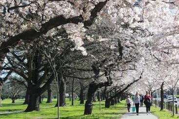 旅馆 Chester St Backpackers