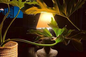 فندق Le Rêve Boutique Hôtel