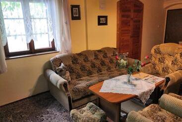 پانسیون Apartmány V Centru U Moravců