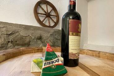 Пансион Casa Shiro