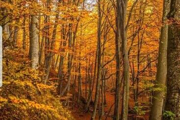 아파트호텔 Casa De Vacanta Sadu